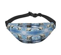 Polar Bear - Marsupio da donna e uomo, impermeabile, con 3 tasche con cerniera, per corsa e viaggi, nero, taglia unica, alla moda, nero, taglia unica, alla moda, Nero , Taglia unica, alla moda