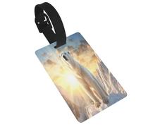 Polar Bear Under The Sunshine - Etichette per bagagli resistenti da crociera, etichette da viaggio per bagagli, facili da identificare, materiale PVC
