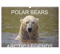 POLAR BEARS - ARCTIC LEGENDS (Wall Calendar 2027 DIN A3 landscape), CALVENDO 12