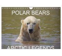 POLAR BEARS - ARCTIC LEGENDS (Wall Calendar 2027 DIN A4 landscape), CALVENDO 12