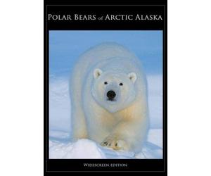 Polar Bears of Arctic Alaska