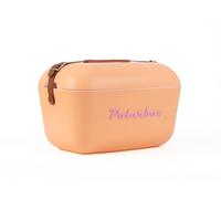 Polarbox Borsa frigo classica, stile retrò, vintage, campeggio, picnic, spiaggia, 20 l, nude/marron