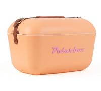 Polarbox Borsa frigo classica, stile retrò, vintage, campeggio, picnic, spiaggia, 20 l, nude/marron