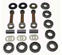 Polaris 1200cc Slx-Genesis-Virage Albero Connessione Asta Cuscinetto Rebuild Kit