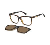 POLAROID GAFAS Modelo: PLD D556/C_ C: HAVANA/Eye size: 54 - Bridge size: 17 Cura della persona e salute