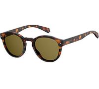 PLD 6042/s Dark Havana Bronze Polarized