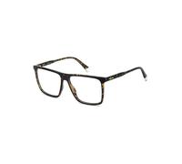 POLAROID - PLD D589 - HAVANA - 57