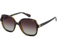 Polaroid PLD4177/S/X 086/LA Polarized, Polarizzato, Avana, ECO plastic, Donne occhiali da sole 55