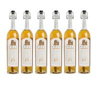 Poli Liquirizia 40% Distilleria Poli Jacopo 1898