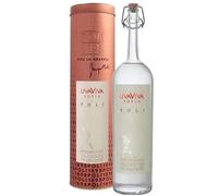 POLI UVAVIVA ROSSA DISTILLATO D'UVA 70 CL IN ASTUCCIO