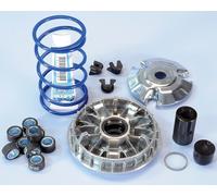 POLINI 241.665 KIT VARIATORE 9 RULLI PIAGGIO 200 250 300 SCARABEO BEVERLY GTS 4T
