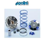 VARIATORE POLINI HI-SPEED PER YAMAHA AEROX 50 MALAGUTI PHANTOM F12