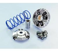 Polini 241.723 - Variomatik Maxi Hi-Speed SYM Symphony 125, Peugeot Tweet