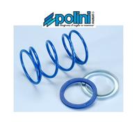 Kit rulli variatore (taratura) Polini 16x13mm - 3,5g - 4g - 4,5g - 5g
