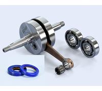 POLINI Albero Motore 210.0081 Spalle Piene Minarelli AM6 + Cuscinetti + Paraoli