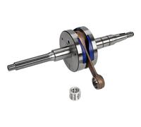 POLINI ALBERO MOTORE MALAGUTI F10 SP.12