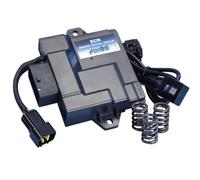 Polini Centralina Elettronica Per Piaggio VESPA SPRINT IGET 50 4T 3V 2025 2026