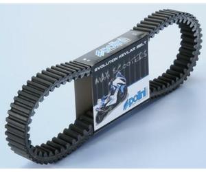 POLINI Cinghia di trasmissione trapezoidale rinforzata