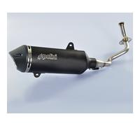 Polini Escape Completo Per Maxi-Scooter, Inox, Silenziatore In Alluminio