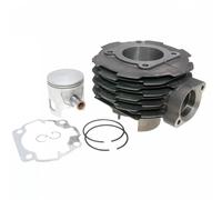 Polini Kit Cilindro Gruppo Termico Ghisa Ø43 65cc SP.12 Piaggio Ciao 50