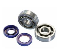 Polini Kit Cuscinetti Revisione Albero Motore Per RIEJU RS2 MATRIX MINARELLI AM6