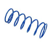 Polini Kit Molla Frizione Honda Sh 125/150