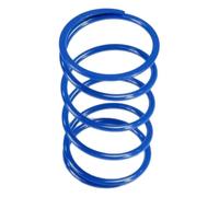 Polini Kit Molla Frizione Piaggio 125/180