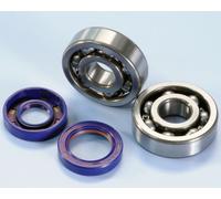 Polini Kit Revisione Albero Motore 282.0003 Minarelli AM6 Cuscinetti + Paraoli