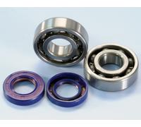 Polini Kit Revisione Albero Motore 282.0004 Derbi Piaggio Cuscinetti + Paraoli