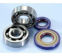 Polini Kit Revisione Albero Motore 282.0005 Vespa Cono 19 Cuscinetti + Paraoli