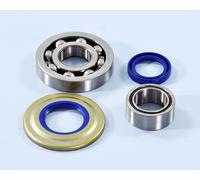 KIT CUSCINETTI PARAOLI POLINI ALBERO MOTORE PIAGGIO VESPA 125 2T COSA