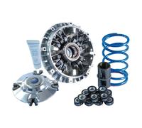 Variatore POLINI Yamaha 500 12 Rod. (241695) per Moto Ricambi Ciclomotore