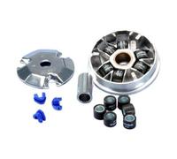Polini Kit Variatore Kymco Sniper/honda Dio Zx/bsv Zx