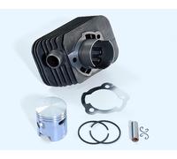 POLINI MOTORI 140.0065/10ST GRUPPO TERMICO CIAO SI BRAVO BOXER GRILLO D.43 SP.10