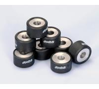 Polini 242222 Variator Rollers 8 Units Nero,Argento 25x15 / 16.2g