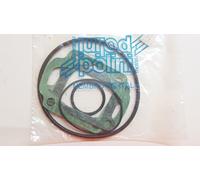 POLINI serie guarnizioni testa motore Minarelli RV4 POL-2090294