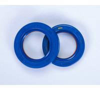 Polini Serie Paraoli 285.0001 in PTFE + FKM Albero Motore Piaggio Gilera 2 pezzi