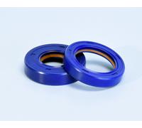 Polini Serie Paraoli 285.0003 in PTFE + FKM Albero Motore Minarelli AM6 2 pezzi