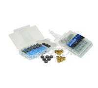Polini Tuning Set per Variomatics 16x13 mm - 4,5-6,0 oz