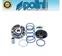 VARIATORE HI-SPEED PIAGGIO ZIP