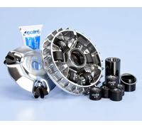 Polini Variatore Hi-sp.piaggio 200/250/300