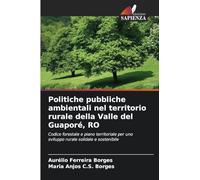 Politiche pubbliche ambientali nel territorio rurale della Valle del Guaporé, RO: Codice forestale e piano territoriale per uno sviluppo rurale solidale e sostenibile