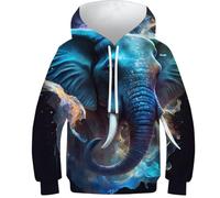 POLIUAWS Felpa con cappuccio per bambini, con stampa 3D, felpa a maniche lunghe, per ragazzi e ragazze, abbigliamento a maniche lunghe, Darling Elephant, 13-15 Jahre
