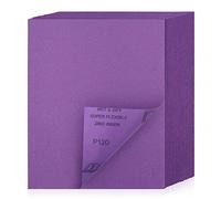 POLIWELL Carta vetrata abrasiva 120, grana 120, 20 pezzi, 22,9 x 28,9 cm, carta abrasiva in allumina viola per legno, metallo, cartongesso, resina, levigatura automobilistica, lucidatura e rettifica