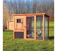 Pollaio con spazio all'aperto 170 × 105 × 77 cm marrone