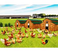Pollaio modulare per 75 / 100 galline in HPL anti acaro rosso POLLY FARM PLUS