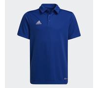 Polo adidas Entrada 22 Blu Reale Bambino - WO416-HG6289 - Taille XS (128)