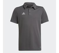 Polo Entrada 22 Team Grey Four 11-12A