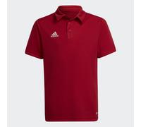 Polo per bambini adidas Entrada 22 Rouge 13/14 anni