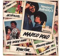 Polo - Newport Authority 2